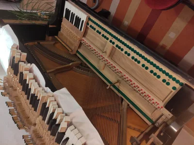 IMG_20210227_184919.jpg IMG_20210227_184919.jpg