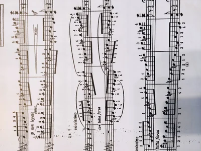 IMG_20211123_092112.jpg IMG_20211123_092112.jpg