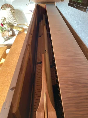 WhatsApp Image 2022-01-20 at 12.38.08.webp