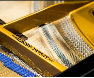 Screenshot 2022-01-25 at 13-27-24 Blüthner Modell 4-210 Großer Salonflügel.webp