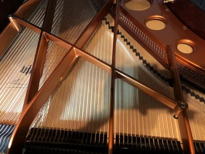 Boesendorfer_Gussplattenschrauben.webp Boesendorfer_Gussplattenschrauben.webp