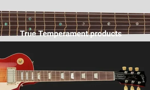 absolutes gehoer.webp absolutes gehoer.webp