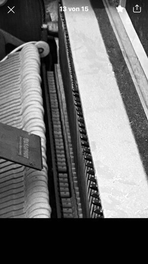 D90B2511-44A5-46F4-8EBC-548AF3CD77B6.jpeg D90B2511-44A5-46F4-8EBC-548AF3CD77B6.jpeg