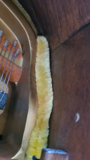 WhatsApp Image 2022-10-28 at 17.06.44.webp