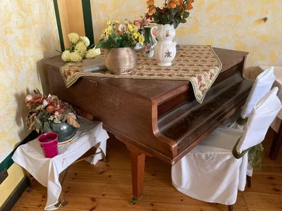 Stutzflügel.webp Stutzflügel.webp