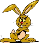 1668111046069.webp