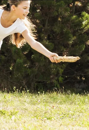 Stoeckchen.webp Stoeckchen.webp