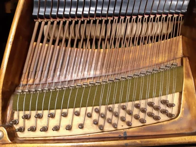 20221228_163508.jpg 20221228_163508.jpg