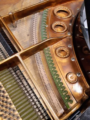 20221228_163613.jpg 20221228_163613.jpg