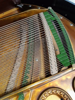 20221228_163657.jpg 20221228_163657.jpg