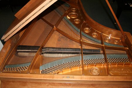 Bechstein3.jpg Bechstein3.jpg