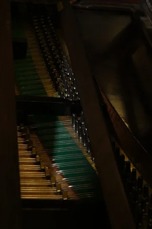 DSC00017.webp DSC00017.webp