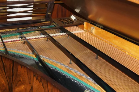 DSC00022.webp DSC00022.webp