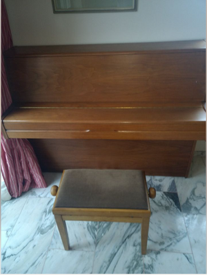 Hohner 1.PNG