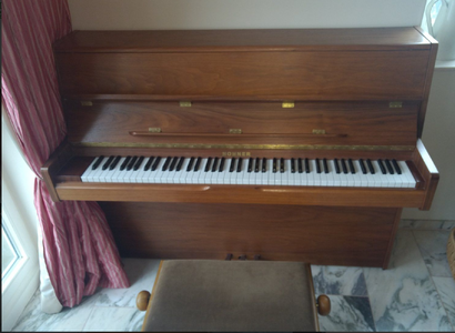 Hohner 2.PNG