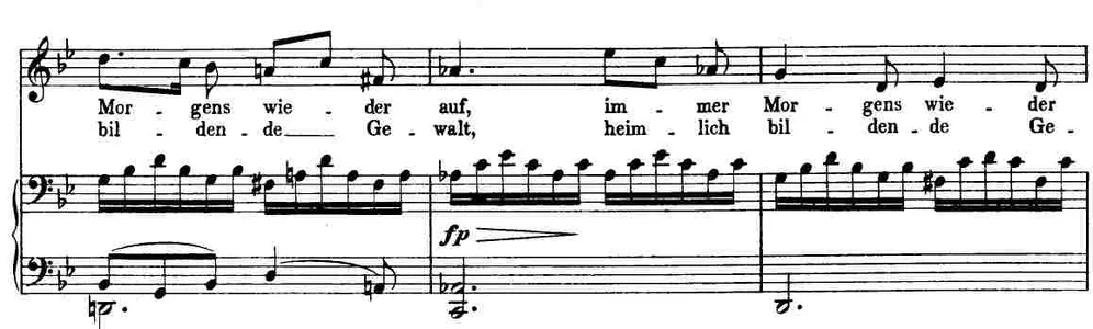 schubertanmignon.webp schubertanmignon.webp