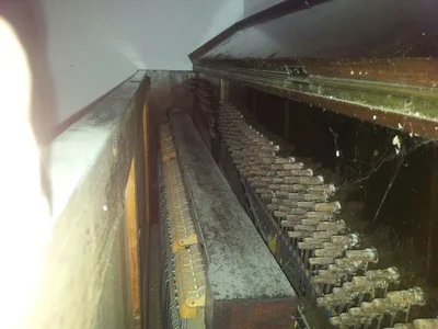 2013-03-02 20.06.12.webp