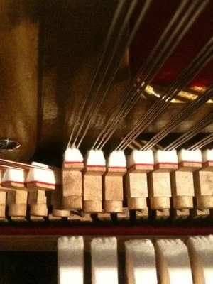 ImageUploadedByTapatalk1364923965.820739.webp ImageUploadedByTapatalk1364923965.820739.webp