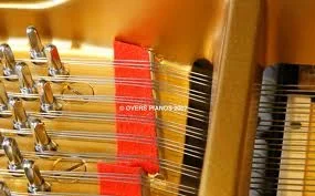 FrontDuplex.webp FrontDuplex.webp