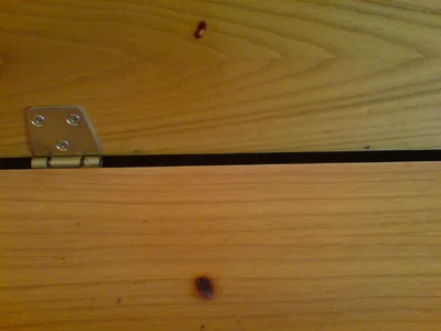 Bierorgel2.webp Bierorgel2.webp