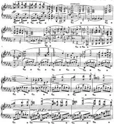 op.35 Seitenthema 1.webp