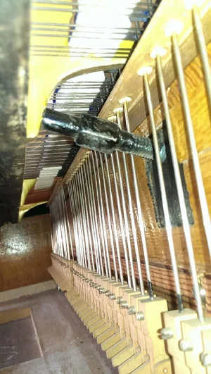 2013-09-13 11.43.40.webp 2013-09-13 11.43.40.webp