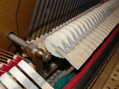 Hammerköpfe.webp Hammerköpfe.webp