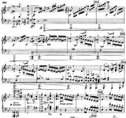 knuffiger Basstriller.webp