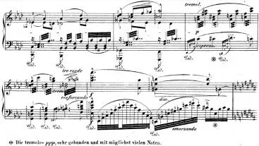 Liebestod tremoli Fußnote.webp