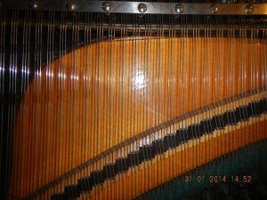 DSCN0831.JPG