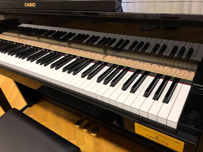 klavier-keyboard-orgel-unterricht_4.jpg