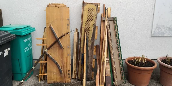 IMG_20230419_100038.jpg IMG_20230419_100038.jpg