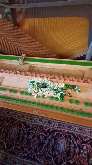 Nest1 (1).webp Nest1 (1).webp