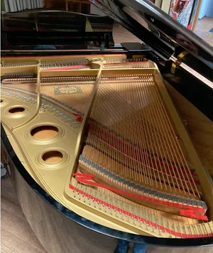 Bildschirmfoto 2023-12-22 um 19.55.05.webp