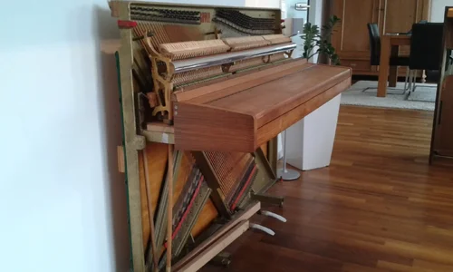 Rippen2.webp Rippen2.webp