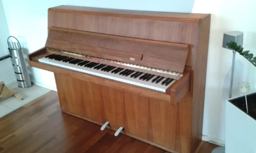 Rippen4.webp Rippen4.webp