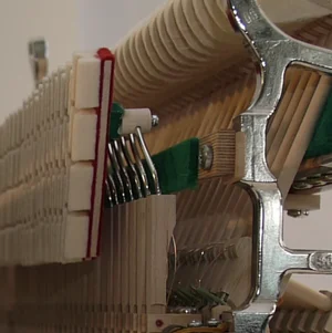 Bildschirmfoto 2024-02-24 um 16.38.50.webp