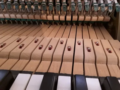 20240226_154741.jpg 20240226_154741.jpg