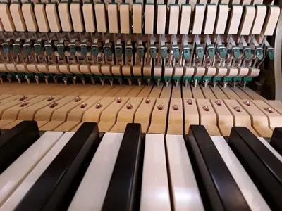 20240226_154806.jpg 20240226_154806.jpg