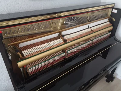 IMG_20240324_111647.webp IMG_20240324_111647.webp