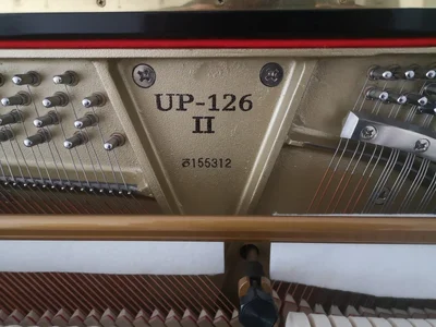 IMG_20240324_111740.webp IMG_20240324_111740.webp