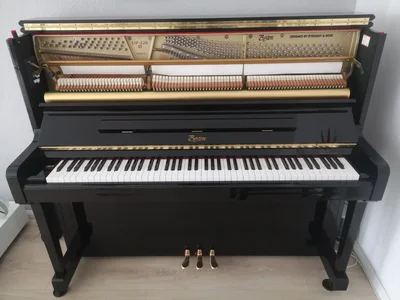 IMG_20240324_111729.webp IMG_20240324_111729.webp