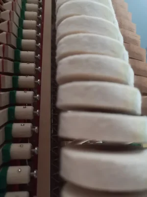 IMG_20240324_111706.webp IMG_20240324_111706.webp