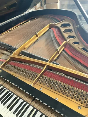 IMG_7171.jpeg IMG_7171.jpeg