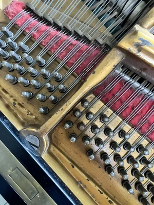 IMG_7173.jpeg IMG_7173.jpeg