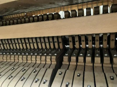 IMG_7170.jpeg IMG_7170.jpeg