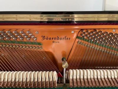 IMG_0209.webp IMG_0209.webp