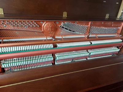 WhatsApp Image 2024-04-18 at 08.26.19.webp