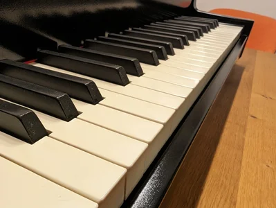 PXL_20240127_192637256 (1).webp