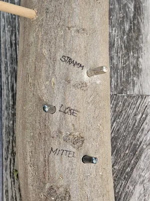 20240810_110227_resized.jpg 20240810_110227_resized.jpg